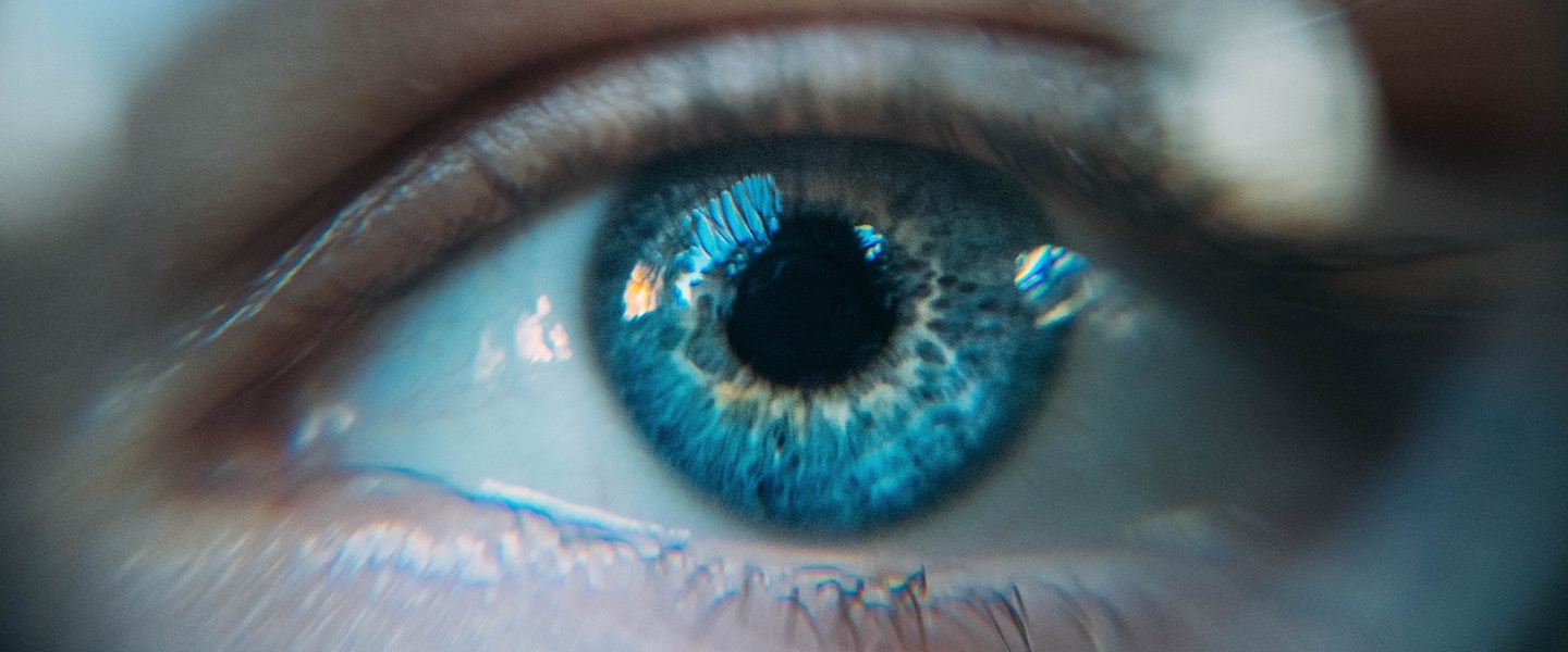 Human Eye Human Eye